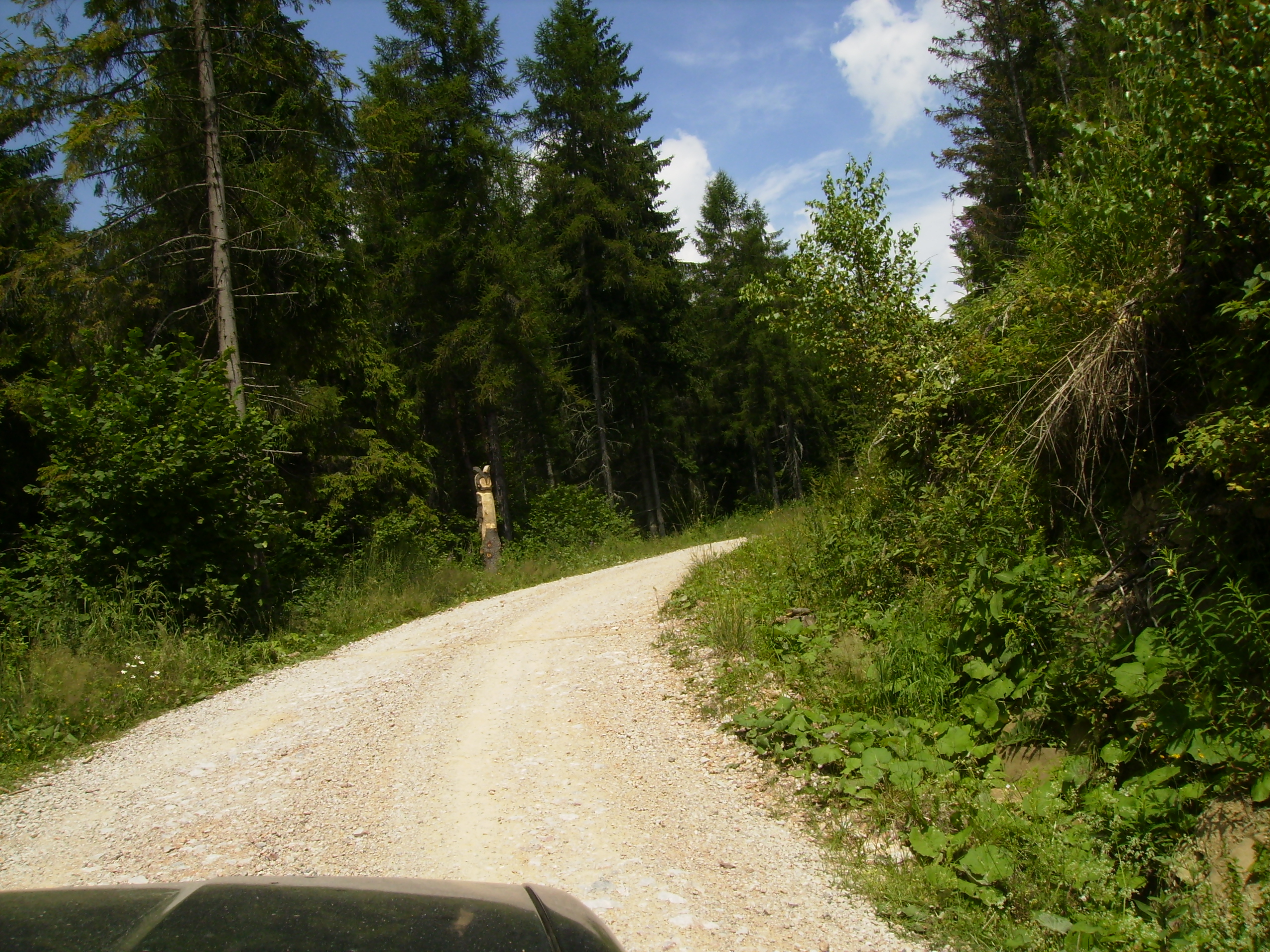 P7120015.JPG